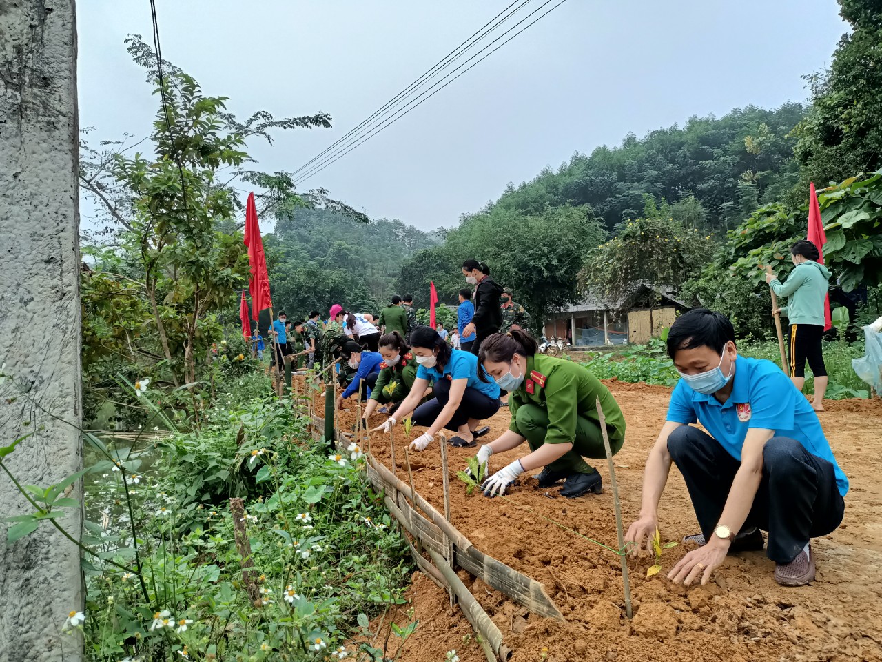 Ảnh tin
