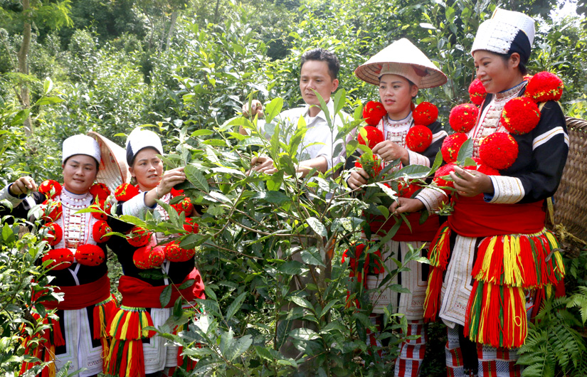 Ảnh tin