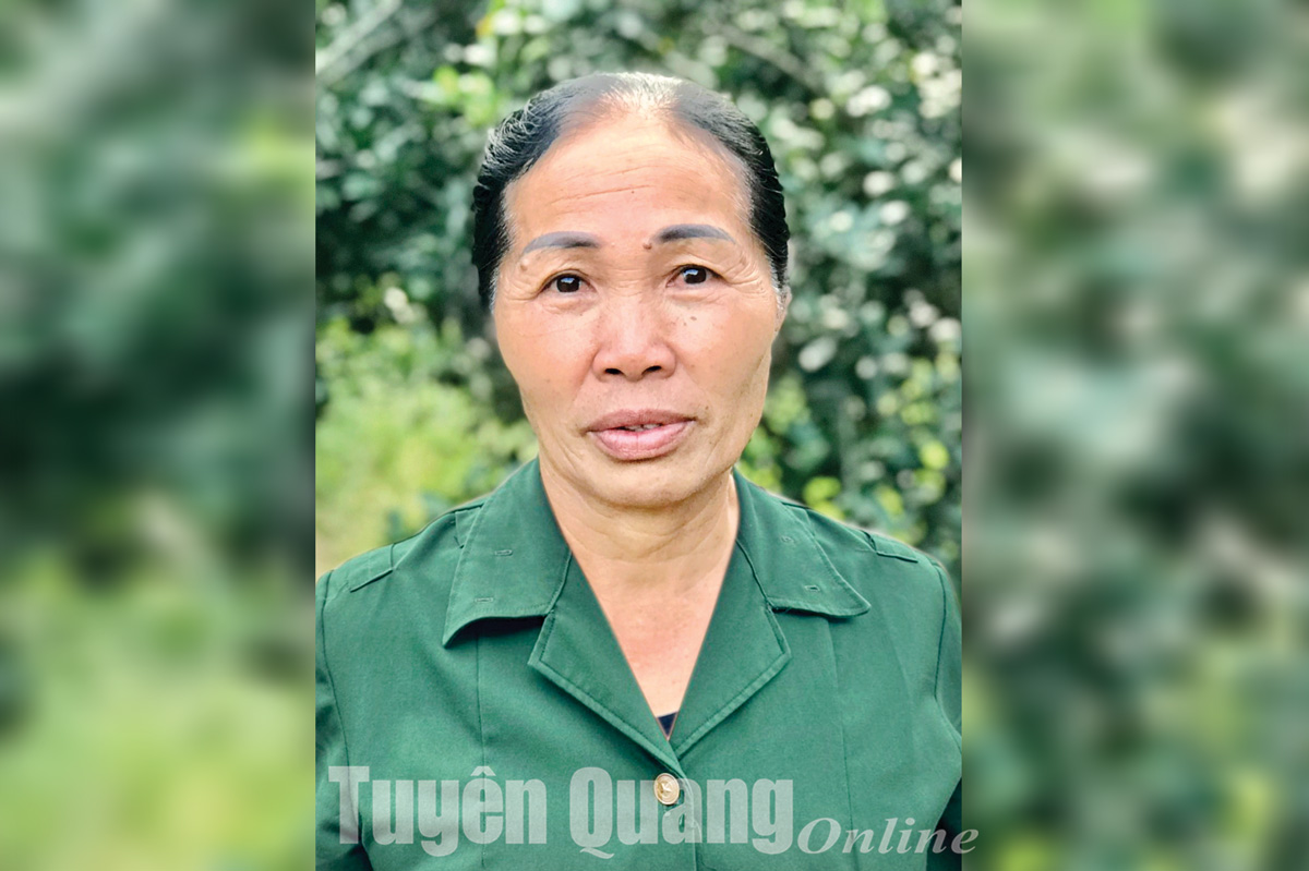 Ảnh tin