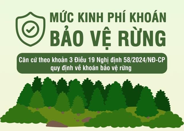 Ảnh tin