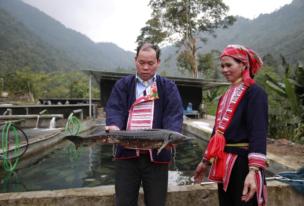 Ông Triệu Chàn Loàng làm giầu từ nuôi cá tầm ở thôn Nậm An, xã Tân Quang