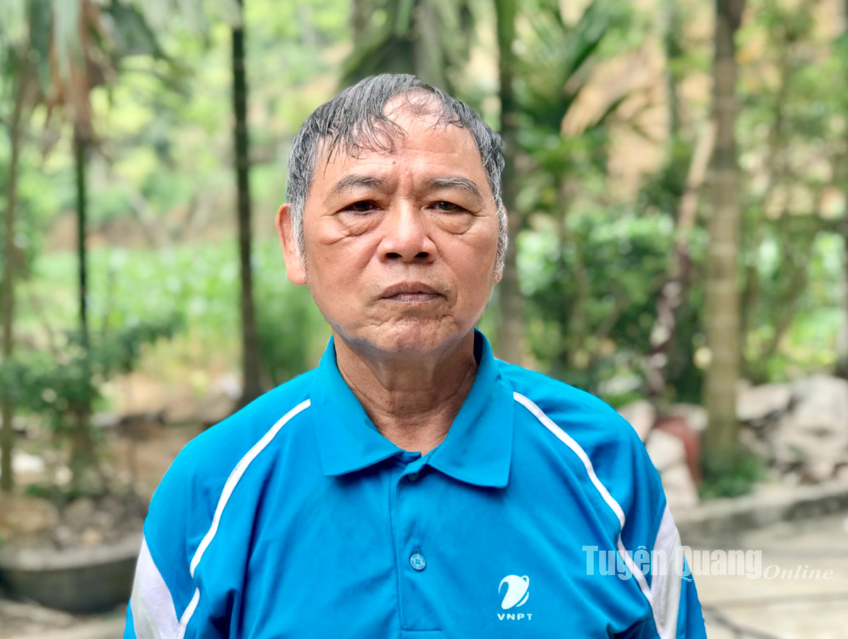 Ảnh tin