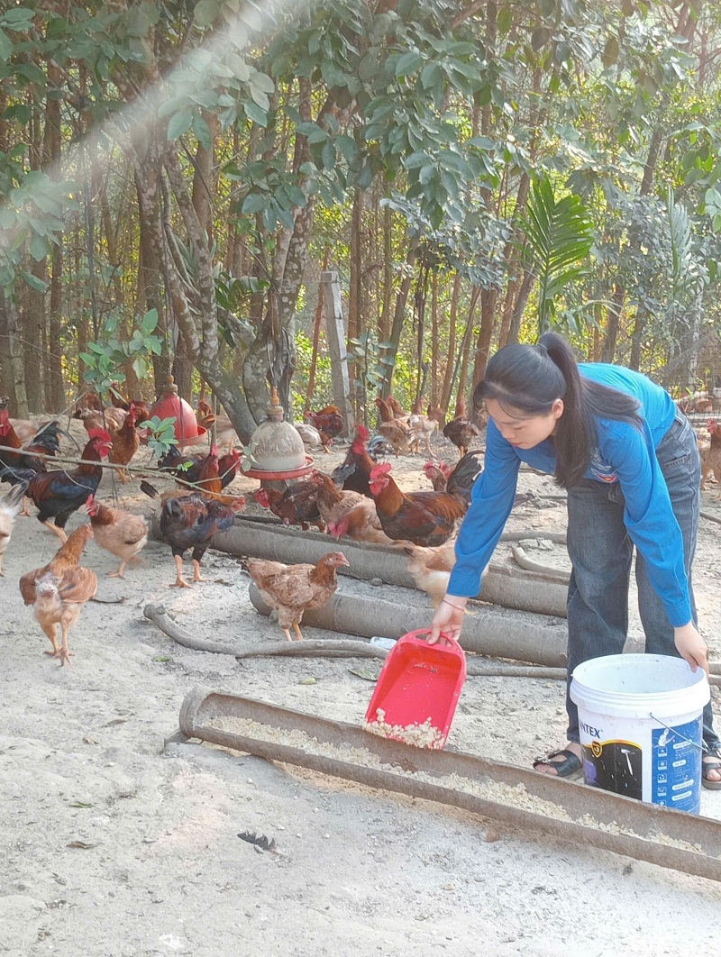 Ảnh tin