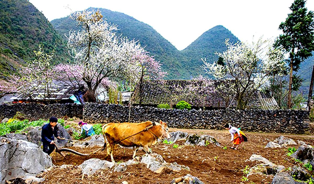 Ảnh tin